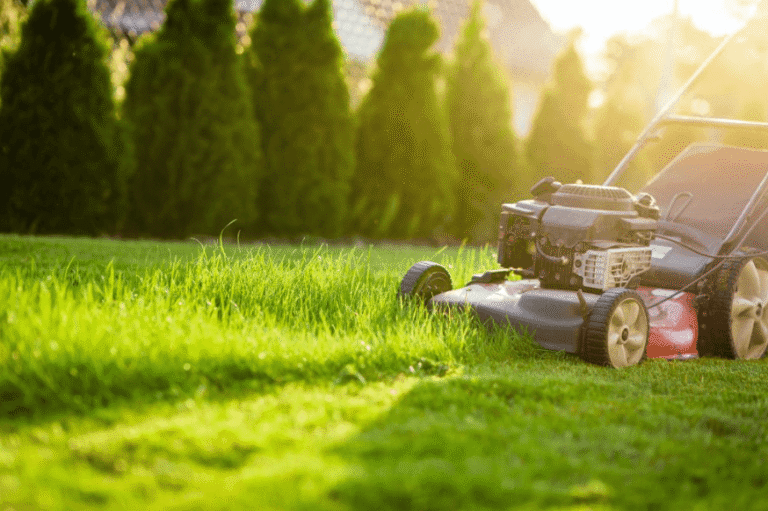 7 Fall Grass Cutting Services Tips for Edmonton Homeowners