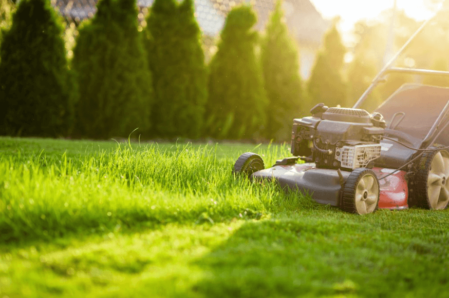 7 Fall Grass Cutting Services Tips for Edmonton Homeowners