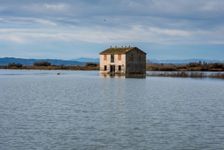 A Flood-Proof Home's Major Features