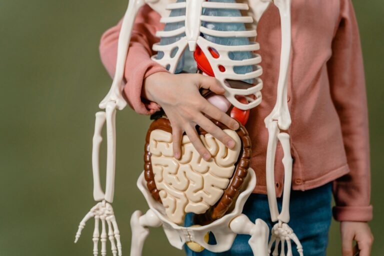 All About Liver Damage or Irritation