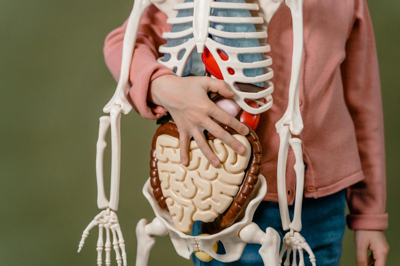 All About Liver Damage or Irritation