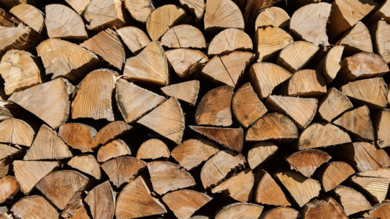 A Guide to Choosing the Right Type of Firewood for a Long-Lasting Burn