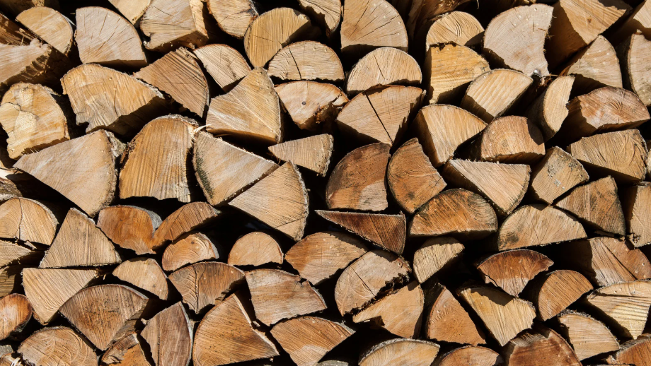 A Guide to Choosing the Right Type of Firewood for a Long-Lasting Burn