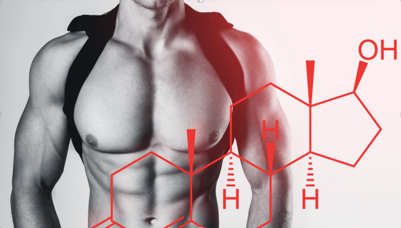 Impact of TRT on Building Muscle Mass and Strengthening Bone Density