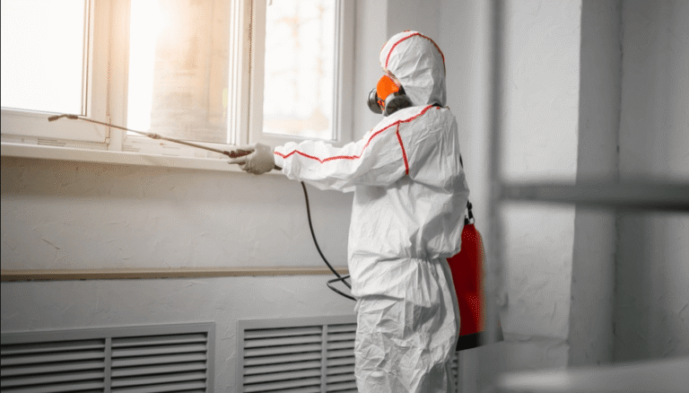 Breathe Easy with Kleen Condition: Trusted Mold & Asbestos Solutions