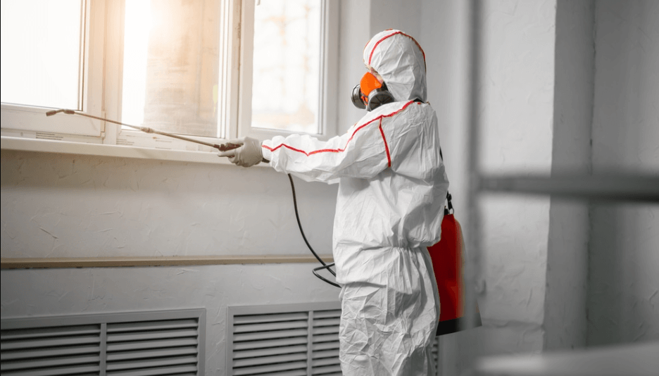 Breathe Easy with Kleen Condition: Trusted Mold & Asbestos Solutions