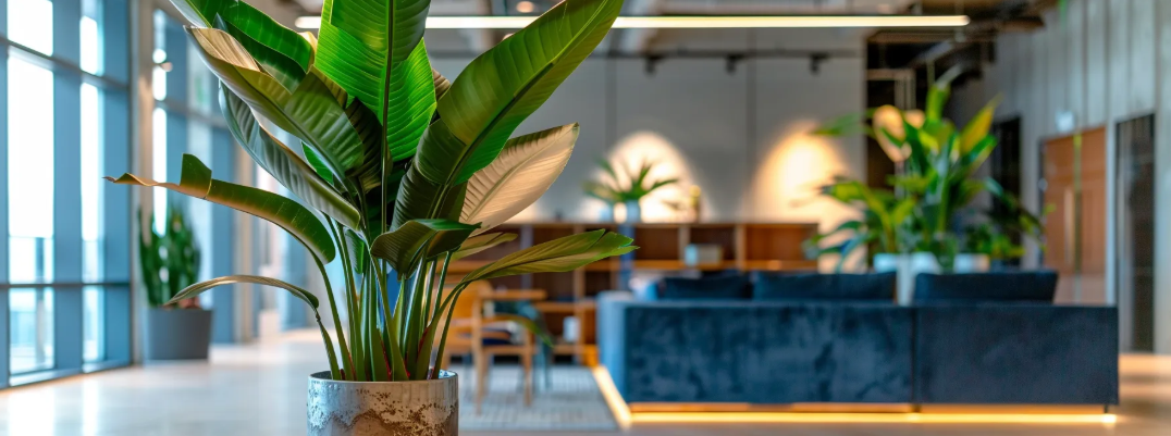 The Benefits of Using Artificial Plants in Interior Decorating