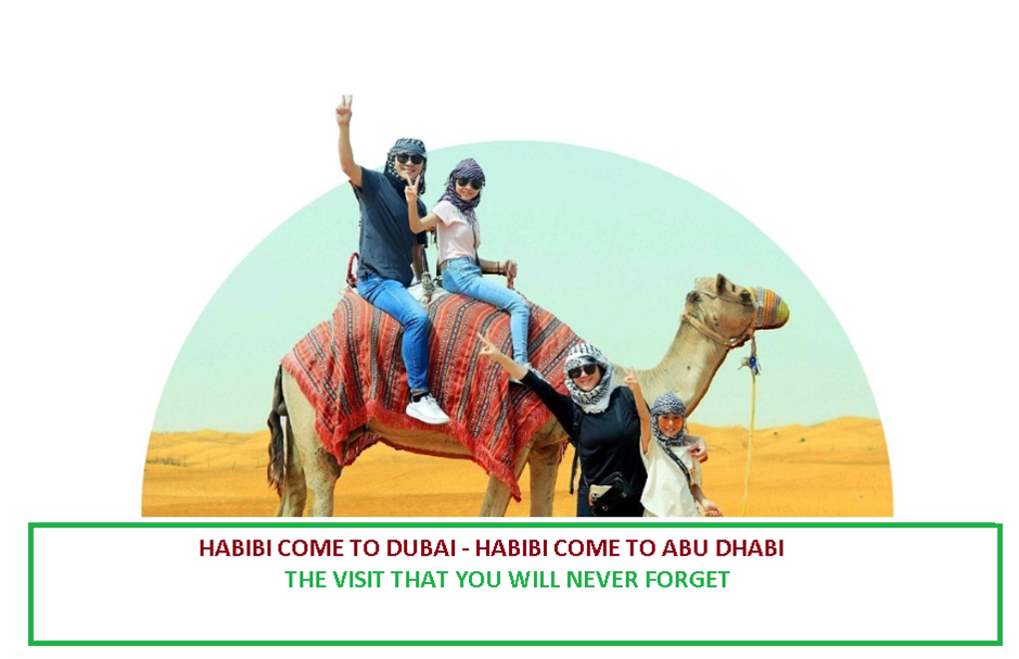 Enjoy the Ultimate Private - Premium Abu Dhabi City layover Tour and Dubai Layover Tour, United Arab Emirates:
